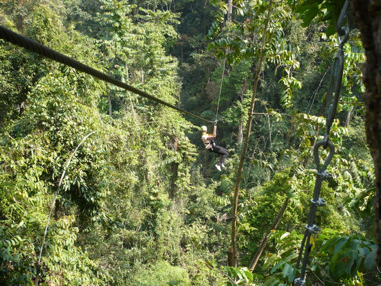 Lotte am Kabel zwischen zwei Urwaldriesen. Man kann es glaub ich einigermassen erahnen. Einfach unglaublich beeindruckende Natur.