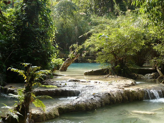 Kuang Si Wasserfaelle - bzw. hier die "
Swimmingpools"
