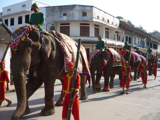 Elefantenparade durch Luang Prabang - es war irgendeine Festivitaet, aber ich weiss leider nicht genau worum es ging...