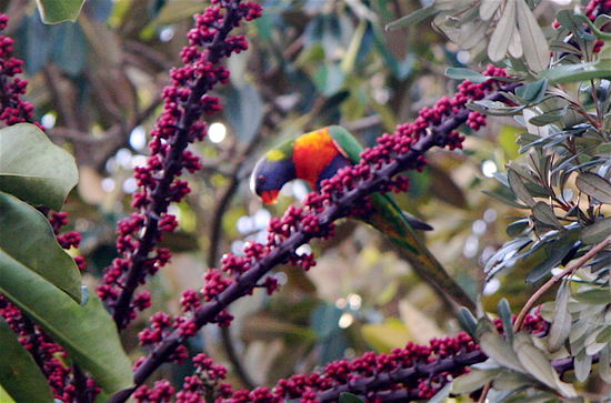 Auf dem Weg zur Seligkeit