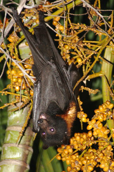 Mmmh, erst mal Mund abputzen