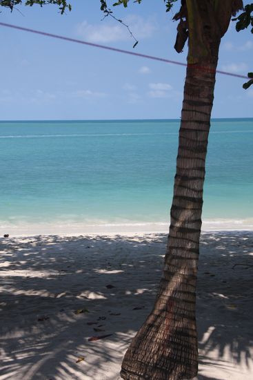 Aussicht aus meinem Bungalow am Bottle Beach 2