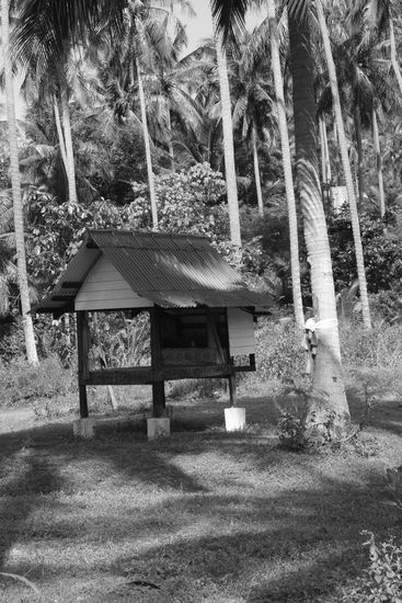 Huette im Dschungel um Bottle Beach