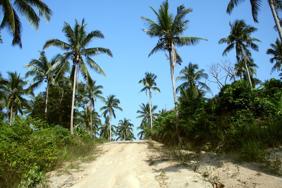 Auf dem Weg zum Than Sadet Waterfall - Ko Phangan