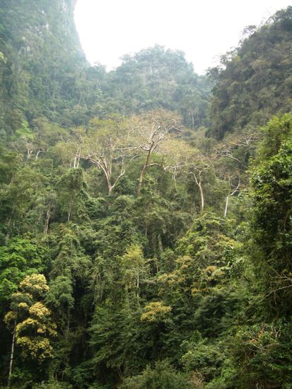 Haben wir in Dortmund nicht...