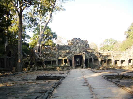 Preah Khan kann mit Ta Prohm durchaus mithalten. Ist aber nicht so bekannt und um halb acht auch nicht ueberlaufen.