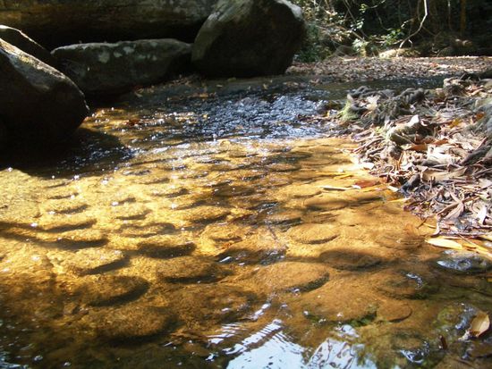 Der Gang ueber die Lingas soll Glueck bringen. Da die abgesperrt sind, gibt's wohl kein Glueck. Schade...