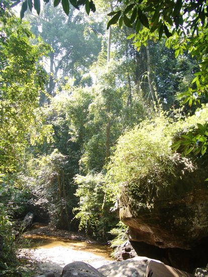 Ach ja, Natur gibt's auch...