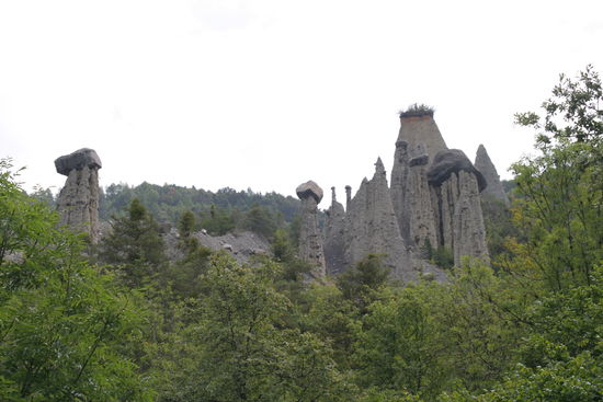 Les Demoiselles Coiffees