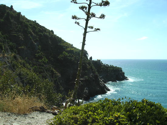 via Dell'Amore nach Manarolo