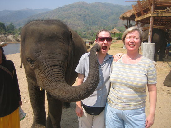 Lucky kiss from lucky Elephant