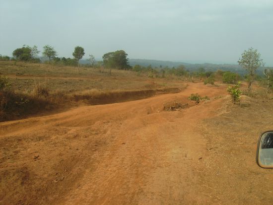 Auf dem Weg zu den Elefanten
