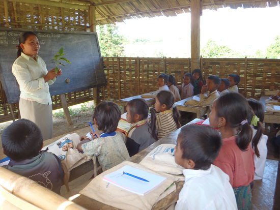 Biologieunterricht in der Bambusschule