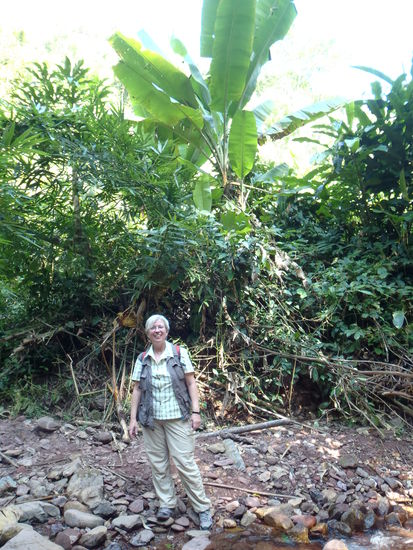 es geht ueber Stock und Stein, durchs Wasser und up and down, wie unserer Fuehrer sagt.