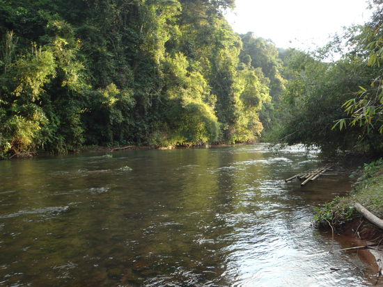 ...ja die Dusche ist hier. (Fuer eine Katzenwaesche reicht s)