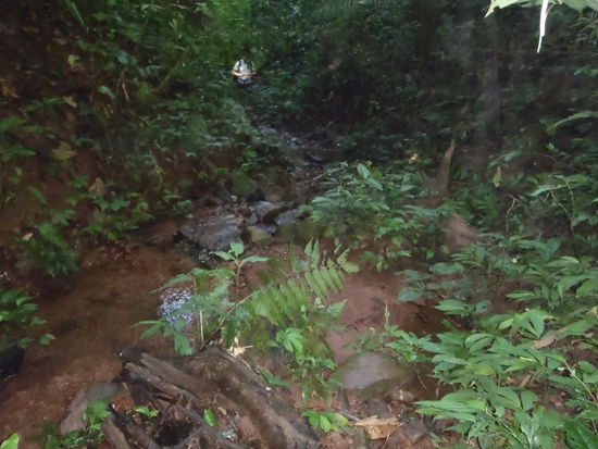 Hier ist der Fluss der Weg, Du musst nur geschickt genug auf den Steinen springen oder nasse Fuesse muessen dir egal sein.