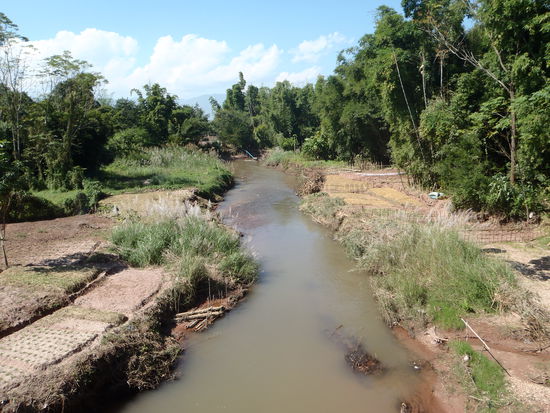 Zwischen den Reisfeldern immer wieder Fluesschen, wo noch Gemuese angebaut wird.