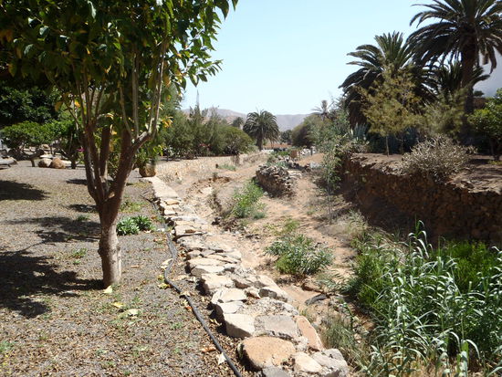 vertrocknetes Bachbett, daneben wachsen Palmen, Blumen oder
Ficus-Bäume riesengroß, weil sie gegossen werden.