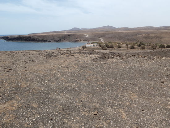 und mittendrin eine kleine Oase