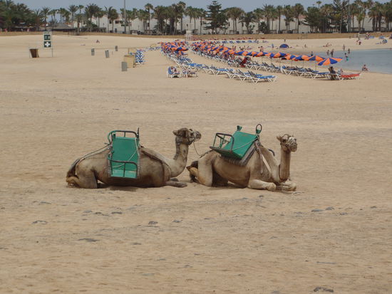 ...tja, wem's so alles hir gefällt