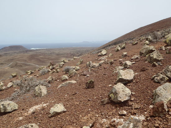 Aufstieg zum Bayuyo. Auf den Steinen wachsen Flechten, das gibt eine grüne oder orange Farbe.