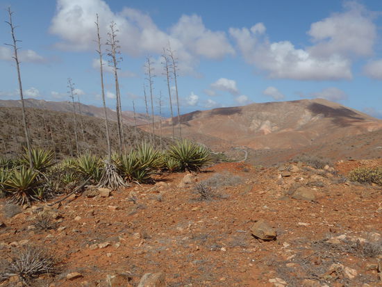 Hier geht es hinab in das "wasserreichste" Gebiet Fuerteventuras.