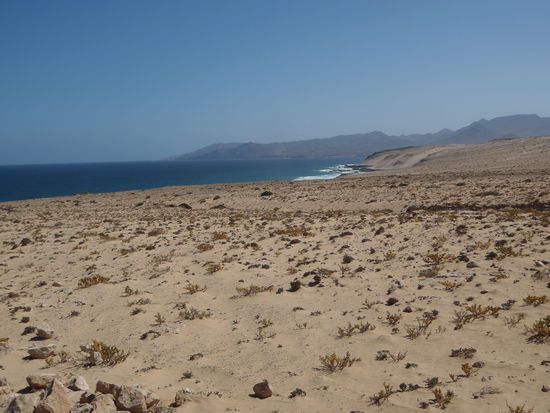 nach ca 1 km an der Westküste: tolle rauhe Landschaft, die Gebrige im Hintergrund sind Richtung Norden. Ich mache mich gleich in die andere Richtung auf, muss aber erst nochmal nahe an die Klippen ran.