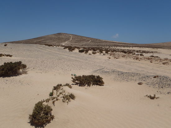 In jede Richtung, 4h lang immer wieder tolle Ausblicke.