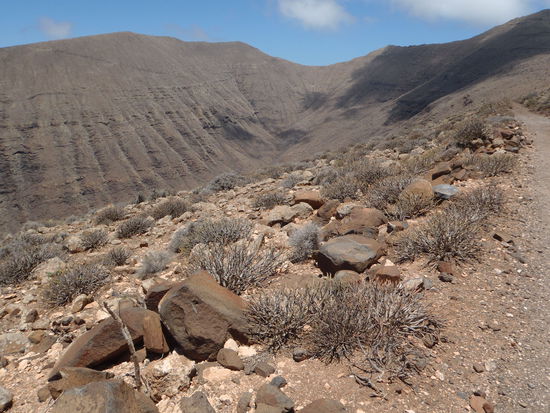 Das Ziel rückt immer näher, die Wolken kommen sehr schnell von der Westküste über den Berg geblasen.