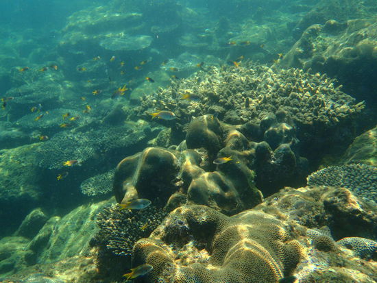 Stimmungsbild beim Schnorcheln