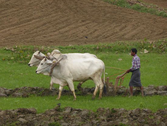 Eindrücke von Amarapura.