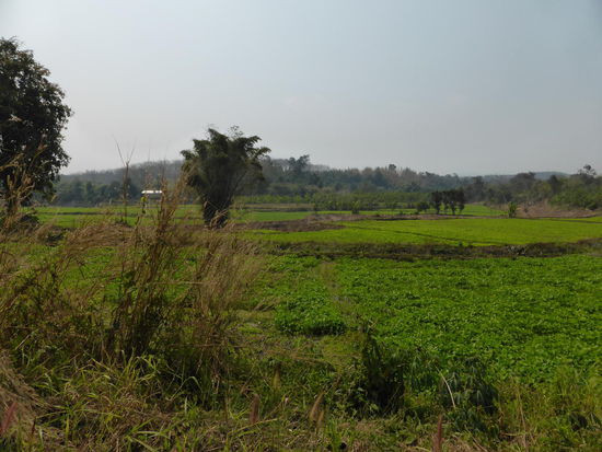 ... Irgendwo auf dem Weg...