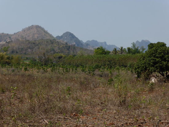 In diesen gigantischen Karst-Bergen leben Millionen von Fledermäusen, die am Nachmittag aus schwärmen.