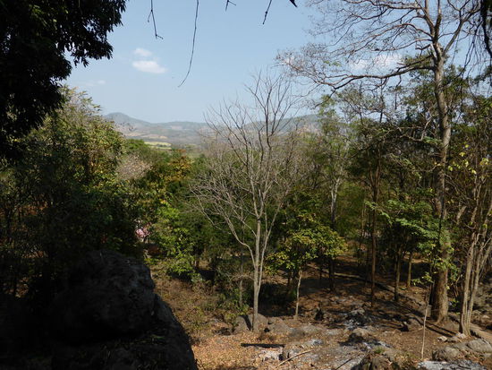 Mitten im Wald liegt der Wat Tam Pha Ya, da aber kein Mensch weit und breit zu sehen ist, gehe ich alleine nicht nach ganz oben.