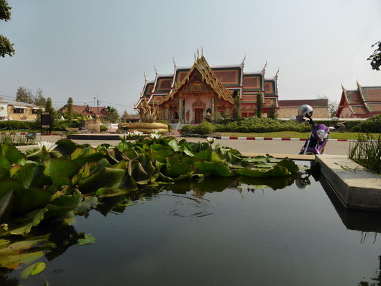 Von weißen Seerosen der Blick auf das Haupthaus des Wat Phra Dhat Chern Chum