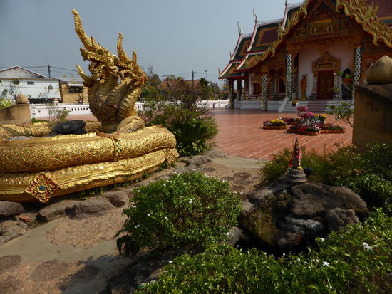 Die Nagha, die Wasserschlange wurde mir vom Mönch ausdrücklich ans Herz gelegt.