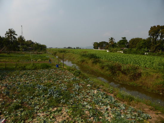 Sobald etwas Wasser zur Verfügung steht wird Gemüse angebaut.