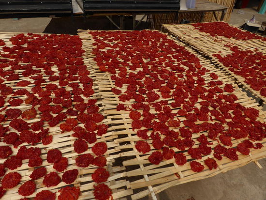 Und was mag das sein? Direkt am Mekong angebaut, gesüßt und getrocknet!
Soll ich es verraten? Tomaten. Ja.