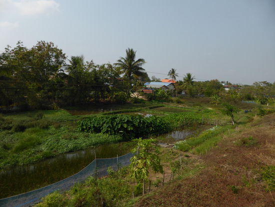 .. In the train - Landschaften auf der Strecke nach Korat.