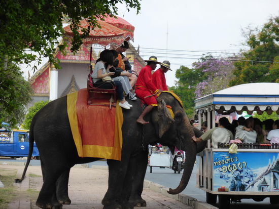 Typisches Straßenbild in Ayutthaya: Touristen arbeitende Elefanten betteln Touristen in den offenen Wagen um Futter an. Zwar keine Artgerechte Haltung, aber die Tiere sehen fit und gesund aus und alle haben ihren Spaß!