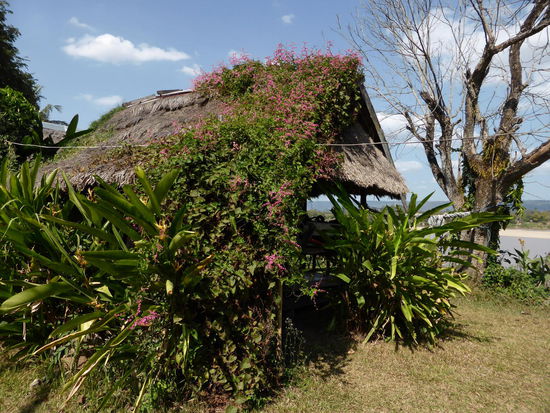 Sang Khom, Bungalow no 9 = meiner!