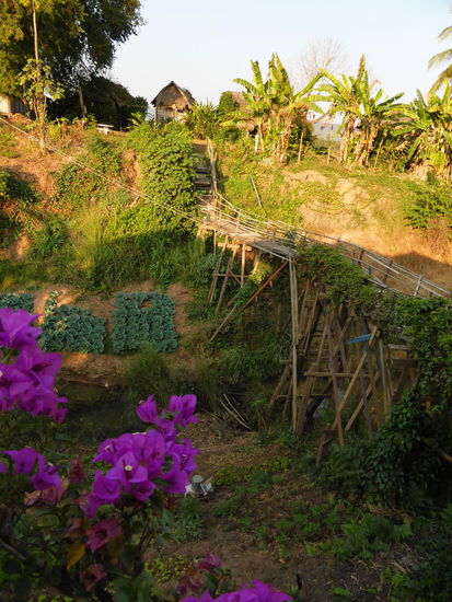 Über diese Brücke muss ich auf Insel mit meinem Bungalow. Sie war mal gerade, aber das Wasser hat sie ein Stück mitgenommen. Jetzt ist sie mit einem zusätzlichen Seil gesichert.