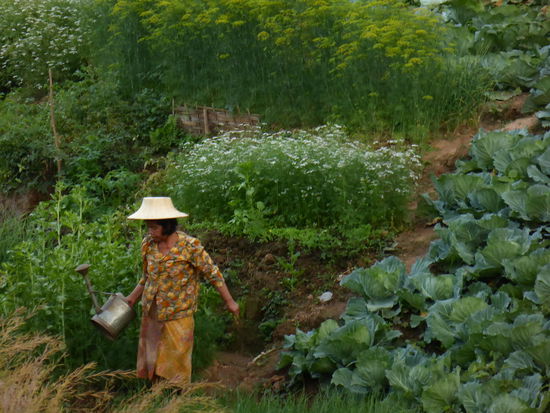 Gartenarbeit in den Abendstunden am Mekong.