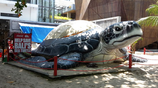 Das Turtle Projekt hat leider schon geschlossen, du siehst nur dieses Teil und eine Info Tafel der Sponsoren. - nächstes mal.
