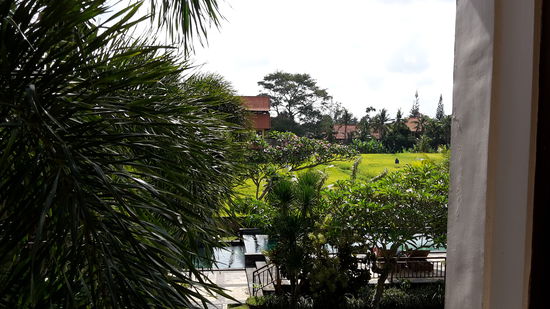 Blick von meinem Balkon 
