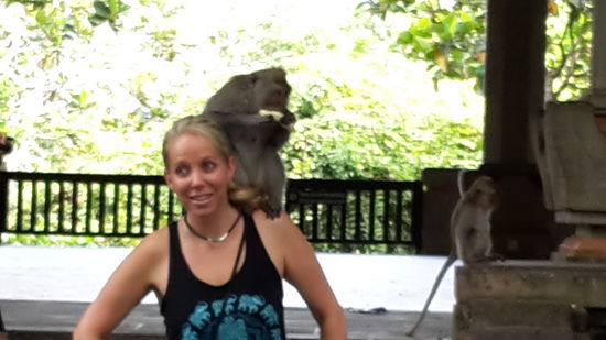 .... und schon hast du einen Affen auf der Schulter  - können auch mehrere gleichzeitig werden 