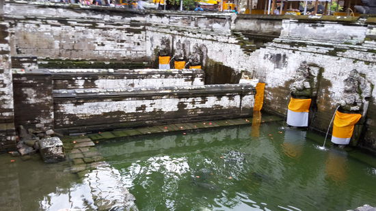 Heilquellen, hier schwimmen nur  Kois drin.