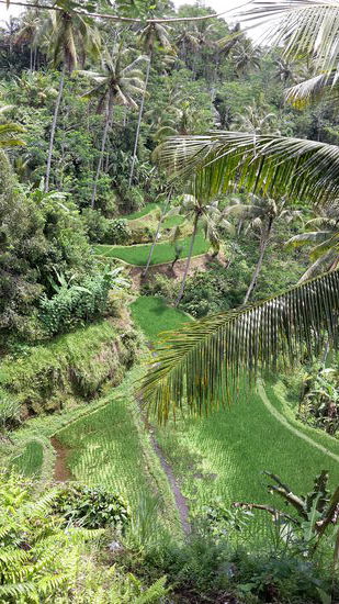 Auf dem Weg zum Tempel ergeben sich tolle Ausblicke rechts und links des Weges.