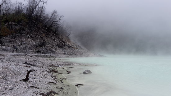 Weißer Krater, ca. 35km südlich von Bandung. Die Dämpfe sind giftig, direkte Vulkanaktivität und die Bäume schon abgestorben. Unwirtliche Stimmung, faszinierend!