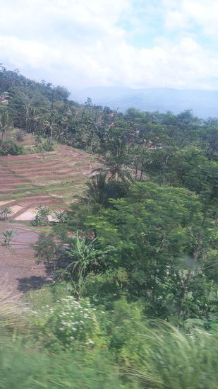 Java, Zufahrt von Bandung nach Yogyakarta. (Durch die Scheibe )